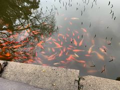 -丝绸小镇荻港古村