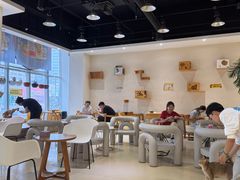 -藏猫猫咖啡主题馆(中央大道店)