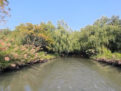 -大湾区中央湿地公园
