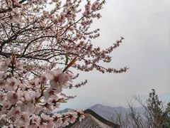-天津盘山风景名胜区