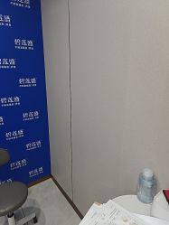 -碧莲盛不剃发植发