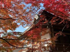 -三千院