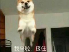 来吃饭之前的我-湘汇概念铁板烧(铁西万达店)