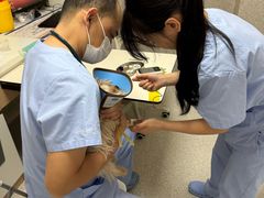 -谐和贝康宠物医院24小时·宠保定点(急重症转诊中心)