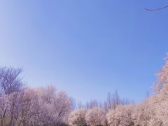 -北京奥林匹克公园