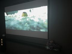 -水云阁·5D影院足浴·SPA(高新店)