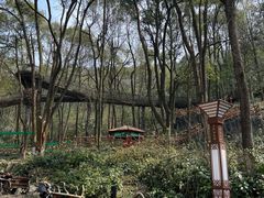 -石燕湖生态旅游景区