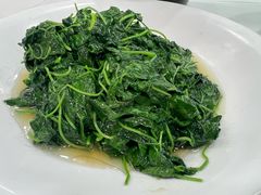 炒豆苗-瑞福园联谊餐室(茂名南路店)