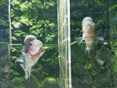 -石林冰雪海洋世界