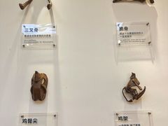 -萍姨抻面馆·鸡架冒菜(清湖店)