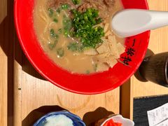 -一豚轩·烧鸟·豚骨拉面(五四路店)