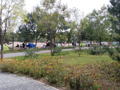 -东郊湿地公园