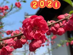 -常德桃花源景区