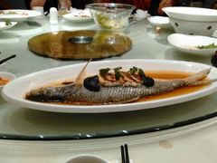 -圆苑(上海广场店)