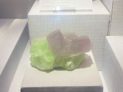 -湖南省地质博物馆