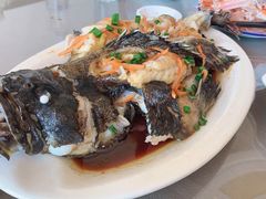 清蒸石斑鱼-三姐妹·海鲜大排档