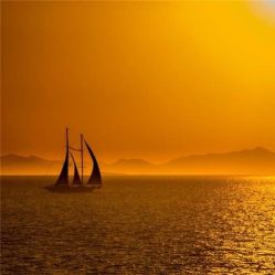 -薇兰专业脱毛连锁机构