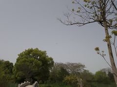 -苏州太湖国家湿地公园