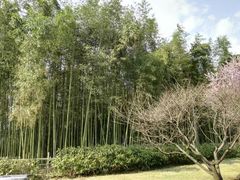 -东方绿舟景区