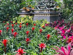 -南宫五洲植物乐园