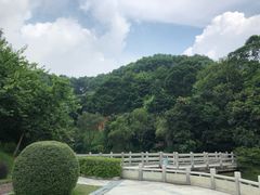 -广州市帽峰山景区