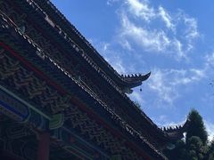 -武陵山森林公园