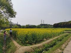 -八卦田遗址公园