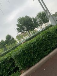 -HEYAN长风荷妍专业脱毛美肤
