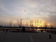 -绿堤公园