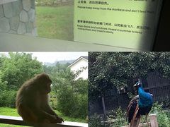 -苏州环秀晓筑养生度假村