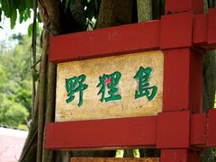 -野狸岛