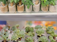 -KKV(重庆东原悦荟主力店)
