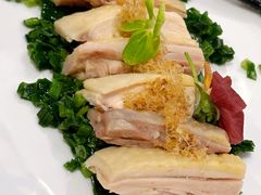 葱油鸡-太极禅苑