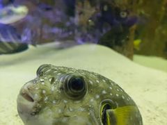 -海合安武汉极地海洋公园