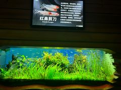 -太平洋海底世界