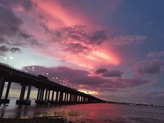 -宝安西湾红树林湿地公园