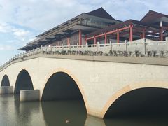 -大湾区中央湿地公园