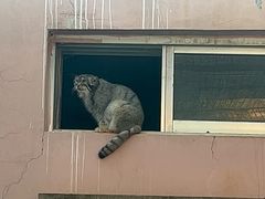 -青藏高原野生动物园