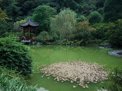 -云溪植物园