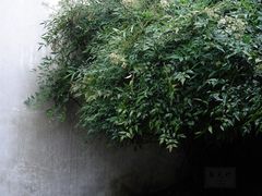 -乌镇东栅景区-茅盾故居