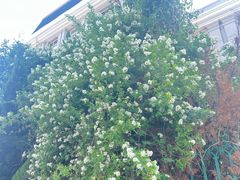 -辽宁对外经贸学院