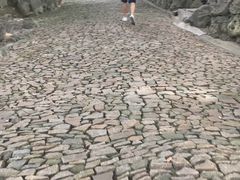 -叶家花园