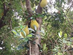 -人民公园(罗湖区)