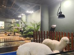 -上海大自然野生昆虫馆(东方明珠·爬宠昆虫探索中心)