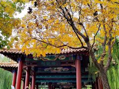 -南翠屏公园