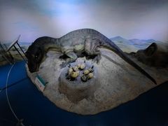 -国家自然博物馆