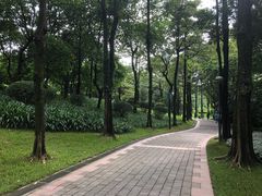 -广州珠江公园