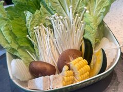 -润园四季椰子鸡火锅(海上世界店)