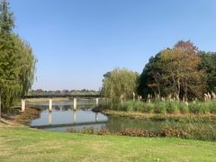 -贡湖湾湿地公园