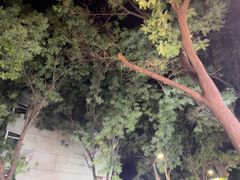 -刘小武·锅魁(总店)